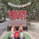 여수여행 | 겨울 여수 여행 오동도 후기｜동백꽃 산책 코스와 볼거리, 주차 정보