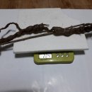 흥안로-12 이미지