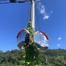 재준목장 이미지