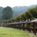 뿌리공원 이미지