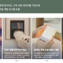 케어포유 이미지