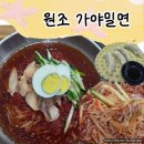 원조가야밀면 - 동래구 금강공원로 7 | 부산시청 맛집 '원조가야밀면' 물비빔밀면 후기🍜
