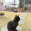 국보농장 | [논산/부여 여행]논산 딸기축제에서 놀고 부여 여행 까지 코스 추천