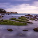 장해농장 이미지