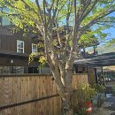 무주펜션 구름채 풀빌라 | 무주독채펜션 무주펜션 구름채 풀빌라