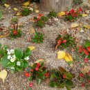 동아대학교병원 이미지