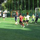 경희대효성태권도 이미지