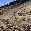 효자 정신비 이미지