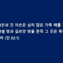 엔게디 이미지