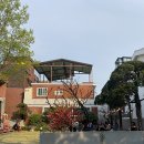 체리커피 네이버블로그