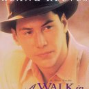 구름속의산책 이미지