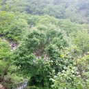 참샘산방 이미지