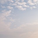 신사대화로 이미지