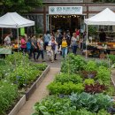 힐링마켓 이미지