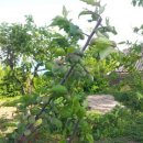 새만금농장 이미지