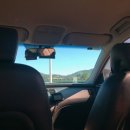 용운목장 이미지