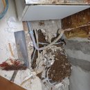 구월3동-9 이미지