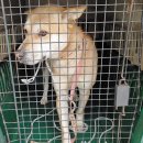 회원동225 이미지