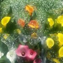 성애안경마트 이미지