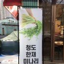 금돼지은돼지 이미지