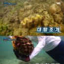 정글의법칙 - 아산시 신정로 434 | 정글의법칙