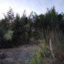 상정리마을회관 이미지