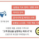 카스텍 이미지