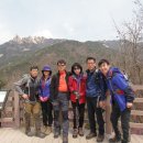 청산약초
