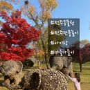 (주)반디이원 전주점 | 전주동물원 가을나들이 후기(25/11/7 방문)🌳 입장료·할인혜택·단풍스팟 총정리!