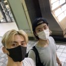 니꼬