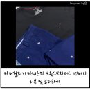 피그브라더스 이미지