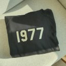 송설로L | [리뷰] 피오갓 에센셜 1977 후드 L사이즈 후기 / 센스 직구