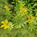 사유랑 호스텔 이미지