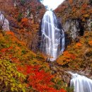 The story of autumn - Theme 이미지