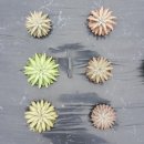 귀동농장 이미지