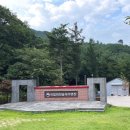 소양강로 | 국립 화천숲속 야영장 데크 명당 배치도 계곡 캠핑 후기