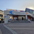 제부항 수산물센터 2층 | 군산 수산물종합센터 박대 직접 해먹어본 후기