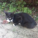 GS25 대공원점 이미지