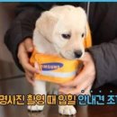 사진찍는날 티스토리