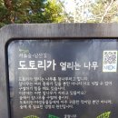 서울동호초등학교 이미지