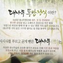 [대전] 만년동 대나무통밥 맛 정식 이미지