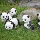 청양 별장&봄 이미지