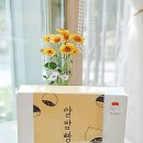 푸디마켓 이미지