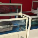 낙지마을 | 경기도 광주 맛집 예가낙지마을 주말 방문 솔직후기/내돈내산