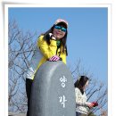 꽃구름 이미지