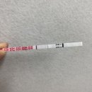 동주네야채 | [임신준비] 시험관 동결 1차 기록 (3) 두줄..?! 임신 극초기 증상 / 동결 1차 종료
