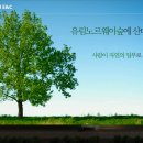 유림이엔씨주