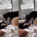 우정동물병원 이미지