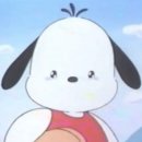 컨텐츠컬렉티브