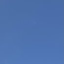 하단동1207 이미지